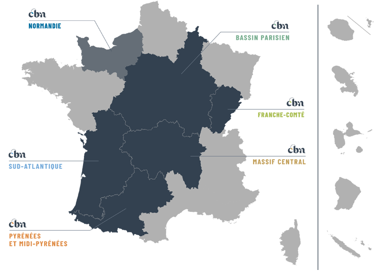 Carte des Conservatoires botaniques nationaux montrant les partenaires de l'application LOBELIA